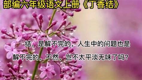 六年级上册语文《丁香结》中豁达的人生观_腾讯视频