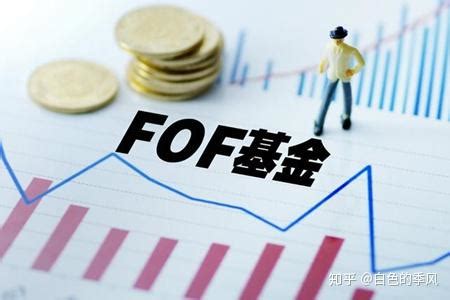 【FOF系列】FOF基金历久弥新，扒一扒发展简史 - 知乎
