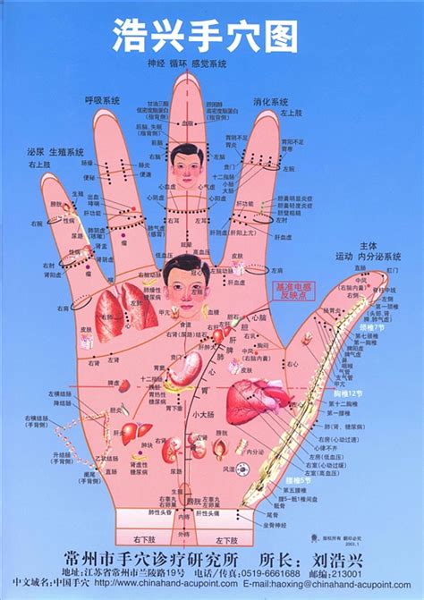 手掌反射区图片