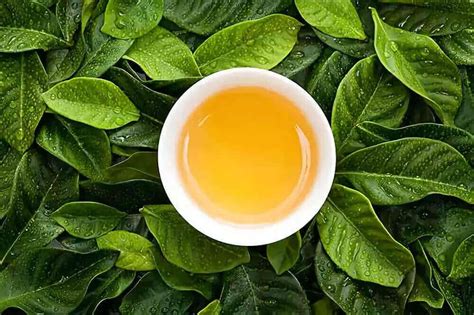 分享“6大类茶叶”冲泡技巧，不同茶叶，冲泡方法有讲究，别不懂_茶类_什么值得买