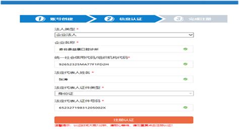 新疆政务服务网-办事指南页面