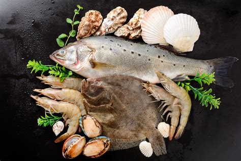 什么样的海鲜生鲜才是好的菜品？请欣赏海鲜美食摄影|摄影|产品摄影|吕凯峰 - 原创作品 - 站酷 (ZCOOL)