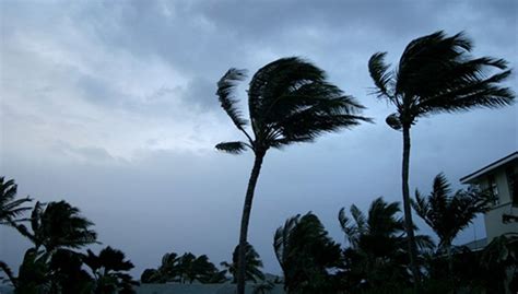 台风“艾云尼”携带暴雨袭城，已逾万人受灾、损失过亿元……