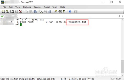 SecureCRT中文破解版下载|SecureCRT 9.0破解版 绿色免安装版32+64位 下载_当游网