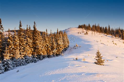 雪地的风景从山上的雪峰到带白树高清图片下载-正版图片506384860-摄图网