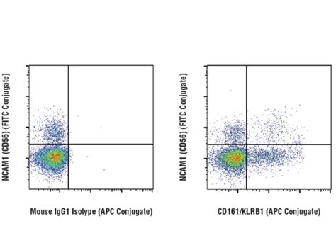 NK1.1 (CD161) Antibody FITC-65138 | Proteintech