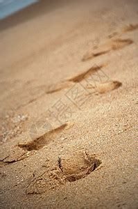 沙中海鸥的足迹高清摄影大图-千库网