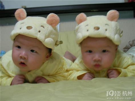 异卵双胞胎是一个爹吗 异卵双胞胎可能同母异父吗_探秘志