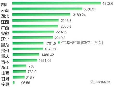 中国生猪产业地域分布及榜单 - 猪好多网