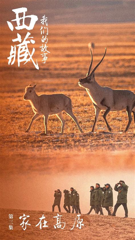 西藏旅游杂志图册_360百科
