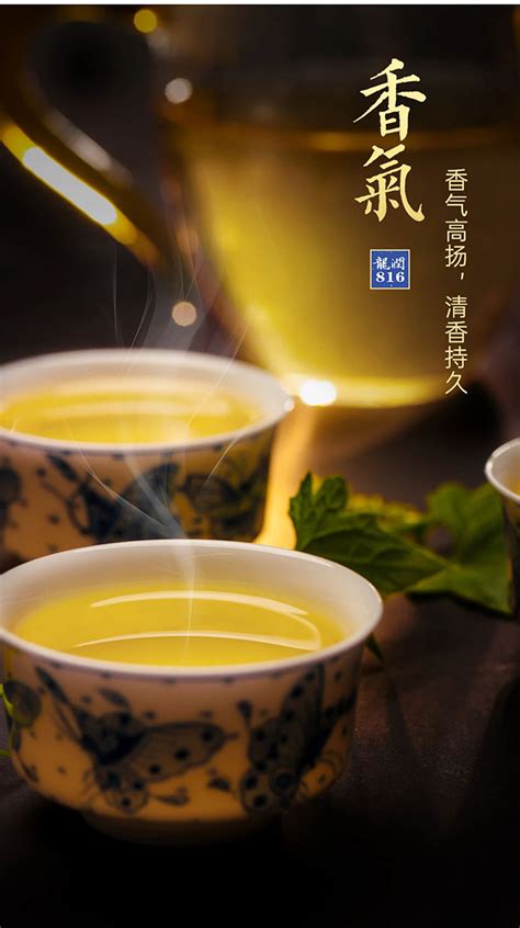 2021龙润茶·816、826：纪念初心，典藏匠心-爱普茶网,最新茶资讯网站,https://www.ipucha.com