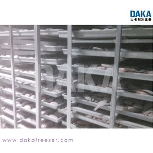 DAKA厂家直销 速冻库 冻鱼冻虾 盘虾分割肉速冻 比泽尔设备 冰库-阿里巴巴
