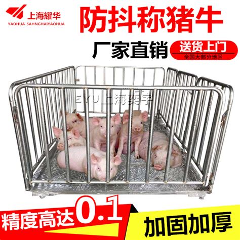 种猪活体电子笼秤-武汉博思智农科技有限公司
