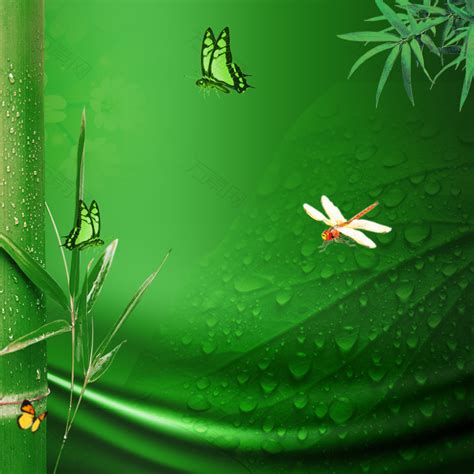 绿色夏季水珠竹子端午节主图背景背景素材图片下载-万素网