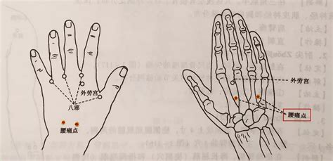 四缝的准确位置图图片 四缝的准确位置图图片
