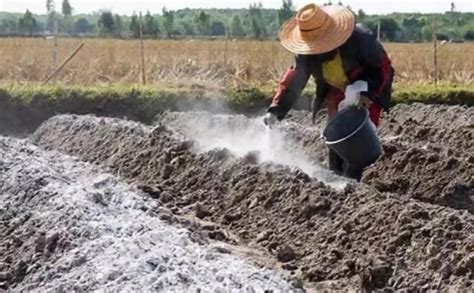 多菌灵如何给土壤消毒，给土壤消毒后多长时间插种-农百科