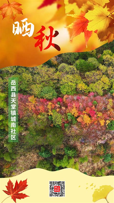 第八届中国（安庆）黄梅戏艺术节将于9月28日至10月8日举行|黄梅戏|艺术节|安庆_新浪新闻