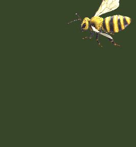 有的蜜蜂慢地飞到养蜂人那里高清图片下载-正版图片506162596-摄图网
