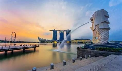 新加坡公司的出口和国际市场战略—鹰飞国际