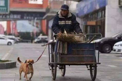 人一车一狗 BEIJING-EU5车主大萌萌的美好车生活——上海热线汽车频道