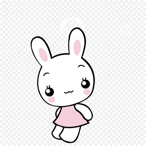兔子妹妹图片