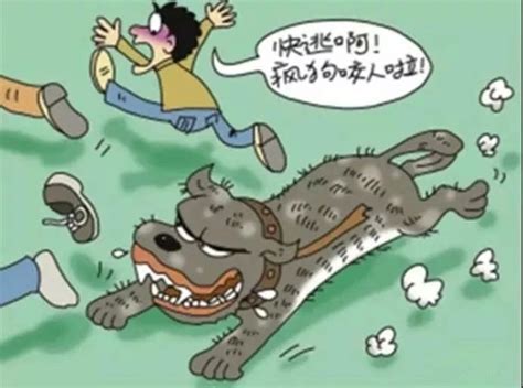 狗咬狗图片