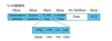 实验二VLAN基本配置_vlan基础配置实验 - CSDN文库