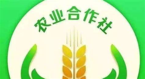 示范合作社_阳新县平原村生态农业专业合作社