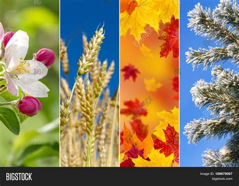 Four Bright Seasons - Image & Photo (Free Trial) | Bigstock