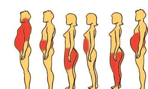 女性12种体型分析，自测你是哪一种？看看吧|沙漏|体型|身材_新浪新闻