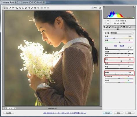 【亲测能用】Adobe CameraRaw12.3【PS的Raw格式图像调整插件】中文版-羽兔网