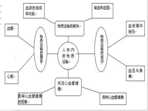 知识网络图图片