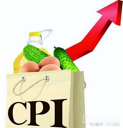 中国生产者价格指数（PPI指数）与CPI指数区别和联系 CPI，居民消费价格指数PPI，工业生产者出厂价格指数中国生产者价格指数（PPI）是 ...