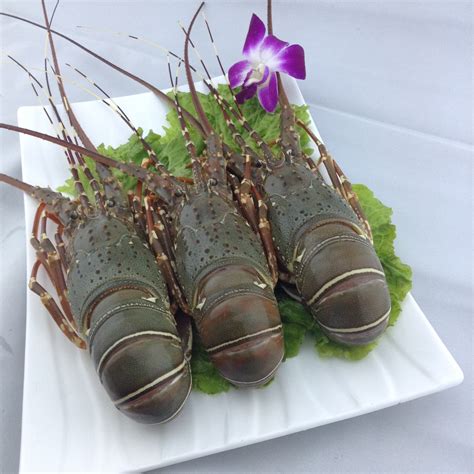 鲜活小青龙虾250g/只2只装印尼花龙虾刺身料理上海闪送_虎窝淘