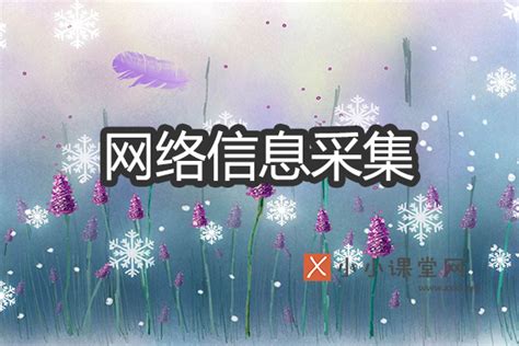 广安SEO优化-SEO培训小小课堂