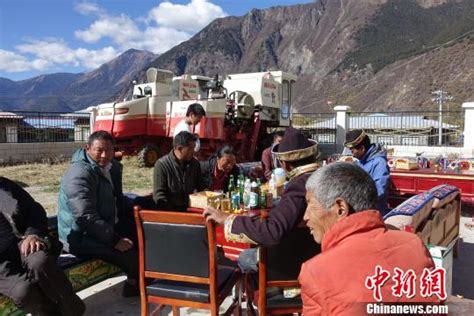 西藏林芝迎来中国最早“新年”——人民政协网