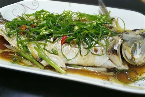 大厨来教你清蒸白水鱼，做法简单，味道鲜美，吃一口真过瘾