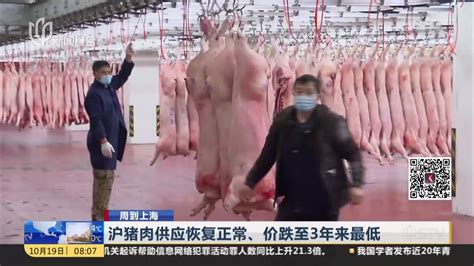 沪猪肉供应恢复正常、价跌至3年来最低：菜市场超过2/3品种零售每斤10多元_凤凰网视频_凤凰网