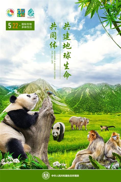 2022年国际生物多样性日宣传海报 - 江苏环境网