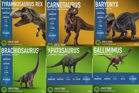 盘点电影中6种侏罗纪恐龙，哪个最厉害？南方巨兽龙顶级掠食者_高清1080P在线观看平台_腾讯视频