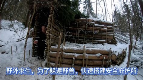 荒野建造：男人7天搭建隐蔽庇护所，在野外住了1个冬天！