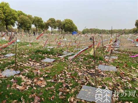 新版《长沙市殡葬管理条例》9月1日正式施行，这些服务项目有了明确规定 - 法眼 - 新湖南