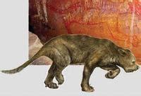 史上咬力最强的哺乳动物袋狮为何消失匿迹？|咬力|哺乳动物|猎食者_新浪新闻