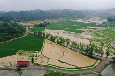 田东暴雨农田道路被淹-广西高清图片-中国天气网
