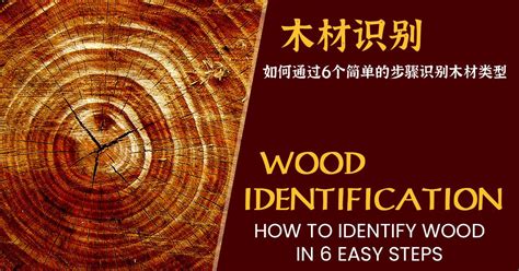 木材识别 – 如何通过6个简单的步骤识别木材类型_行业资讯_木头云