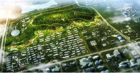 北京石景山将率先创建国家森林城市 有这4项重点任务 | 北晚新视觉