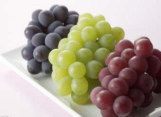 一文了解葡萄的营养价值有哪些 | 说明书网