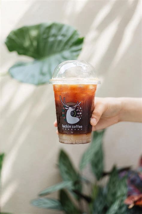 「NOWWA 挪瓦咖啡」推出新品：轻盈椰青咖啡、轻盈椰子水、生椰香水柠檬茶-FoodTalks全球食品资讯