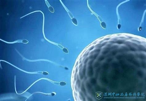 供精人授解析：借用他人精子实现怀孕的助孕方法_家庭医生在线