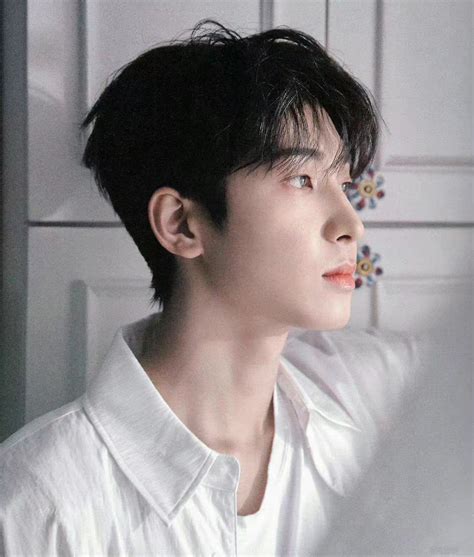 全圆佑seventeen图片